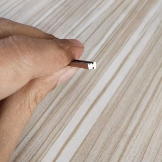 Kundenspezifisches Stahlstangen-Spezialstahl-Extrusions-Edelstahlprofil